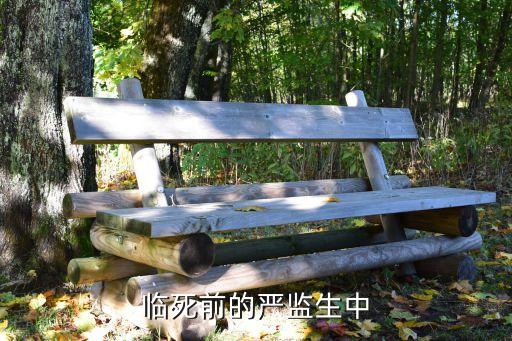 臨死前的嚴監生中