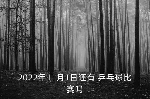 2022年11月1日還有 乒乓球比賽嗎