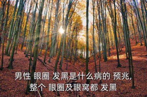 眼圈發(fā)黑是什么病的預兆,黑眼圈和腎虛一般來自深夜或夜店
