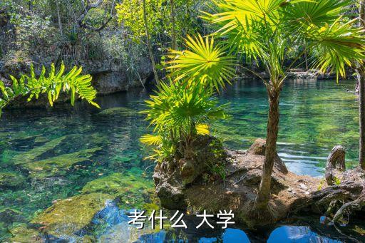 考大學,符合高考報名條件即使不上高中在家學習也可參加高考
