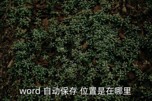 word 自動(dòng)保存 位置是在哪里