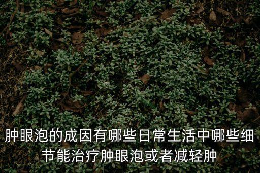 腫眼泡的成因有哪些日常生活中哪些細節能治療腫眼泡或者減輕腫
