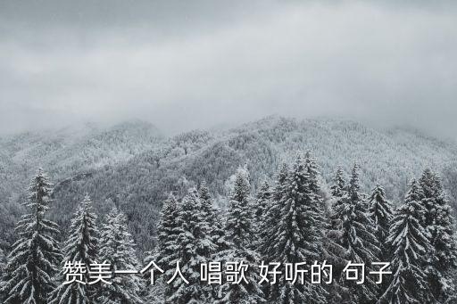 贊美一個人 唱歌 好聽的 句子