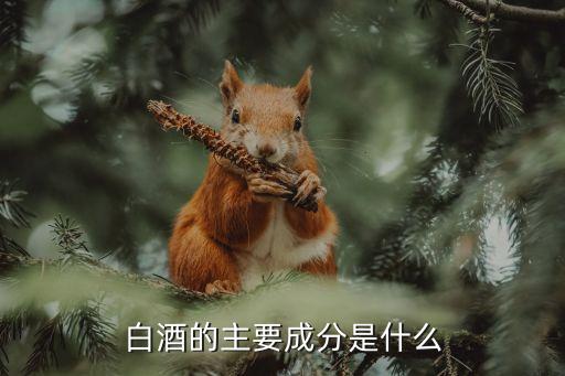 白酒的主要成分是什么