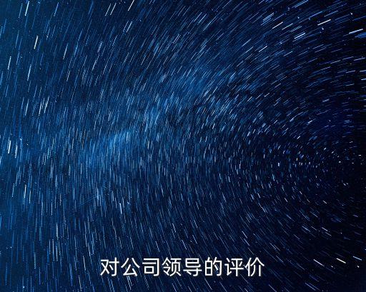 對公司領導的評價