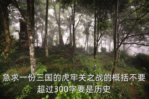 虎牢關(guān)之戰(zhàn)，三國(guó)志東吳傳虎牢關(guān)之戰(zhàn)怎么過(guò)