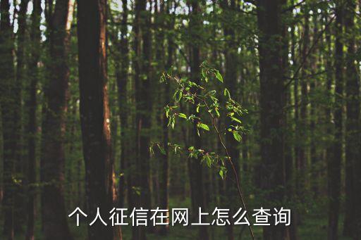 上海市誠信征信管理系統，上海 如何查詢信用記錄
