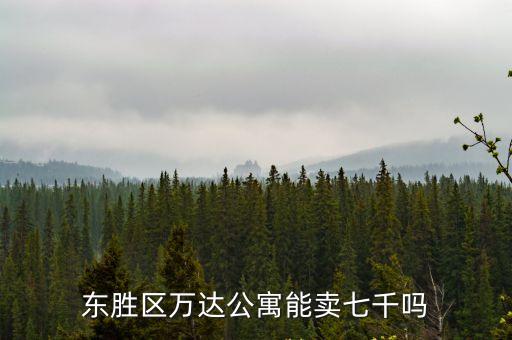 東莞萬達公寓出售價格，東勝區(qū)萬達公寓能賣七千嗎