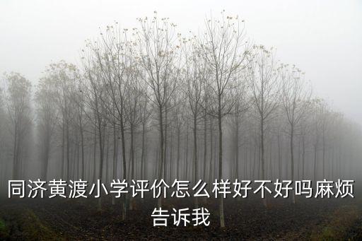 同濟黃渡小學評價怎么樣好不好嗎麻煩告訴我