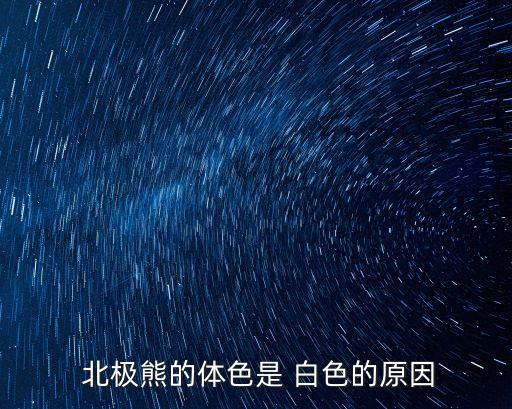 白色北極熊,北極熊和我一樣黑白分明