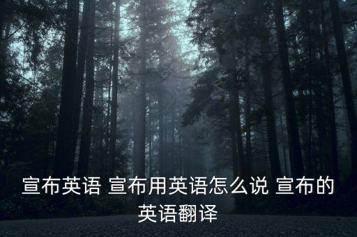 發布英語，宣布英語 宣布用英語怎么說 宣布的英語翻譯