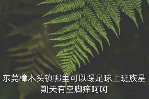 東莞樟木頭體育館，東莞樟木頭鎮哪里可以踢足球上班族星期天有空腳癢呵呵