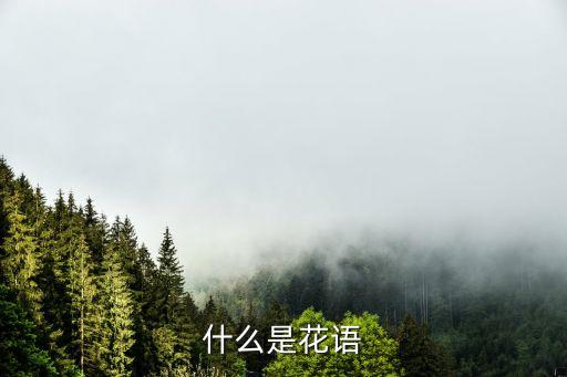什么是花語