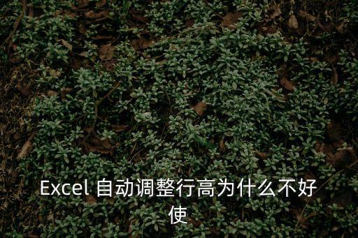 Excel 自動調整行高為什么不好使