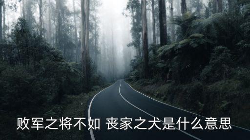 敗軍之將不如 喪家之犬是什么意思