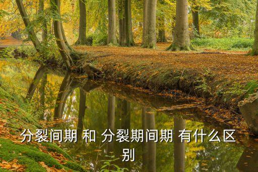 分裂間期 和 分裂期間期 有什么區別