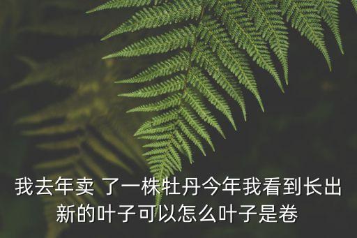 我去年賣 了一株牡丹今年我看到長出新的葉子可以怎么葉子是卷
