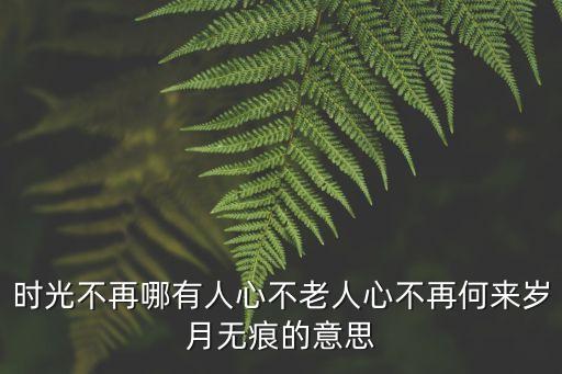 時光不再，時光不再是什么意思