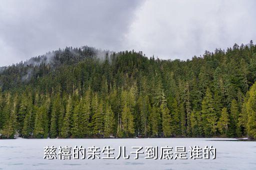 慈禧兒子,慈禧唯一合法繼承人光緒皇帝第三子