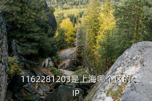 上海市ip地址如何查詢哪個(gè)區(qū)，求大神查一下這個(gè)IP的精確位置是哪個(gè)區(qū)縣