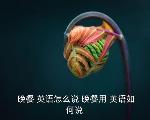  晚餐 英語怎么說 晚餐用 英語如何說