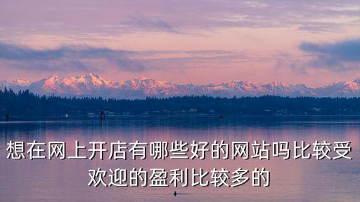 想在網上開店有哪些好的網站嗎比較受歡迎的盈利比較多的
