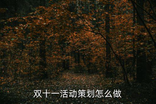 雙十一活動策劃怎么做
