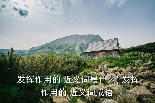  發揮作用的 近義詞是什么( 發揮作用的 近義詞成語