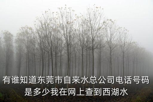 東莞各水廠電話是多少，東莞洪梅供水局電話