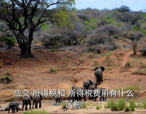  應交 所得稅和 所得稅費用有什么區(qū)別