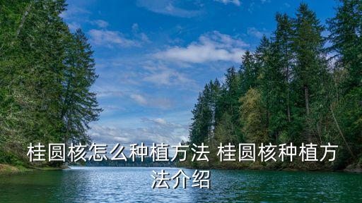 桂圓核,泡桂圓酒注意事項: