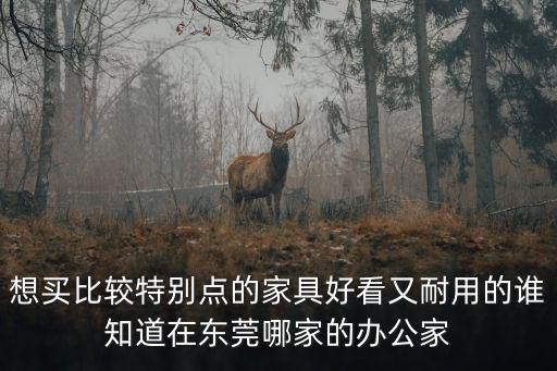 想買比較特別點的家具好看又耐用的誰知道在東莞哪家的辦公家