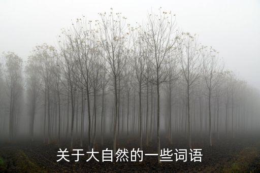 關(guān)于自然的詞語，關(guān)于大自然的一些詞語