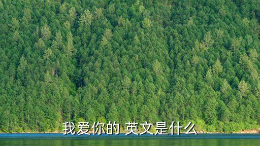英文我愛你,第二集:我愛你,永遠(yuǎn)不會(huì)變
