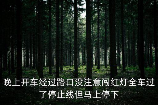 晚上開車經過路口沒注意闖紅燈全車過了停止線但馬上停下