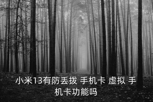 虛擬手機(jī)卡,虛擬信用卡怎么申請(qǐng)?