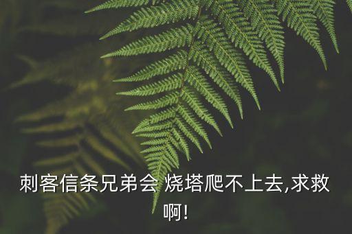刺客信條兄弟會 燒塔爬不上去,求救啊!