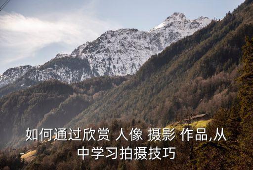 人像攝影作品,人像攝影作品專利申請中被批評侵權