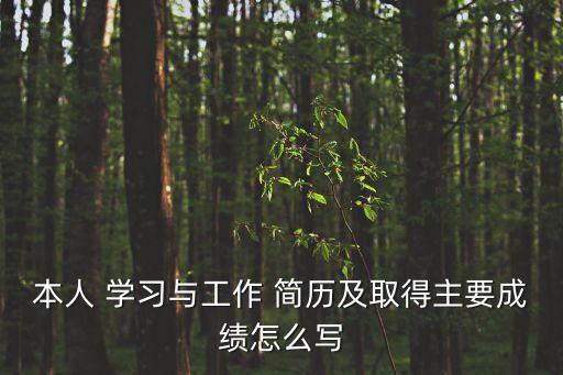 本人 學習與工作 簡歷及取得主要成績怎么寫