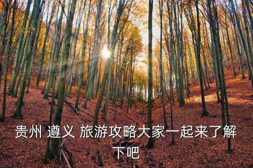 遵義旅游,貴州北線中心旅游攻略
