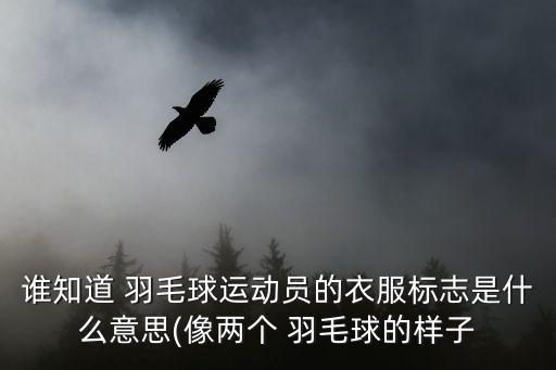 羽毛球服裝,怎么買羽毛球服裝和球鞋?