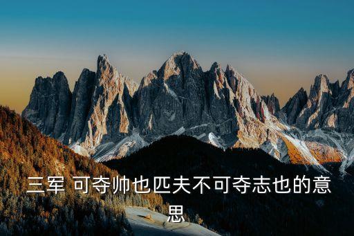 三軍可奪帥,三軍可奪帥還有，人不能勝其志
