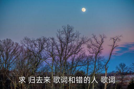 求 歸去來 歌詞和錯的人 歌詞
