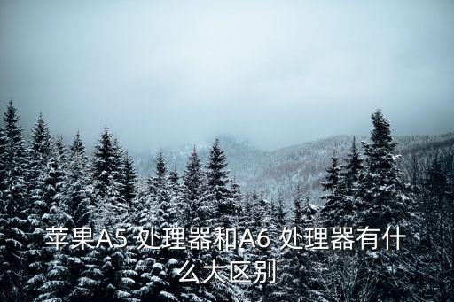 蘋果A5 處理器和A6 處理器有什么大區別