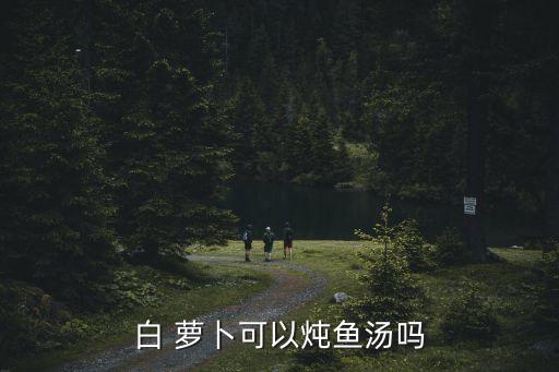白 蘿卜可以燉魚湯嗎
