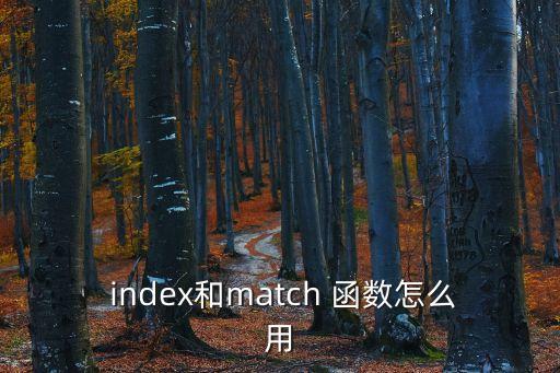  index和match 函數怎么用