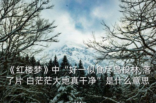 《紅樓夢》中“好一似食盡鳥投林,落了片 白茫茫大地真干凈”是什么意思...