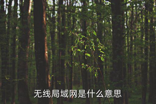 無線局域網是什么意思