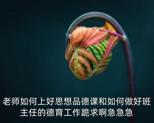 老師如何上好思想品德課和如何做好班主任的德育工作跪求啊急急急