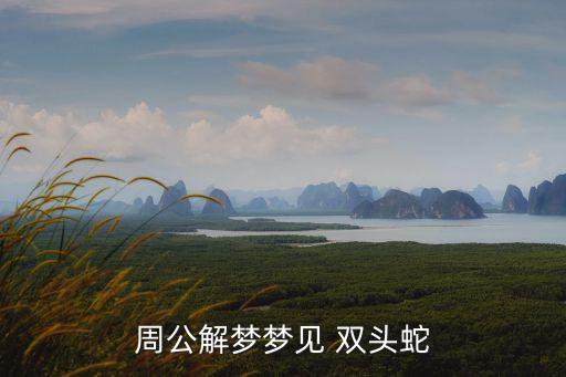 雙頭蛇,雙頭蛇是同卵雙胞胎形成畸形胎兒